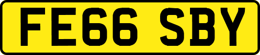 FE66SBY