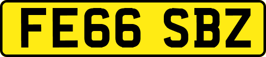 FE66SBZ