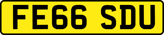 FE66SDU