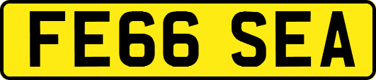 FE66SEA
