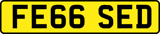 FE66SED