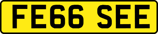 FE66SEE