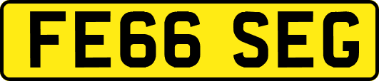 FE66SEG