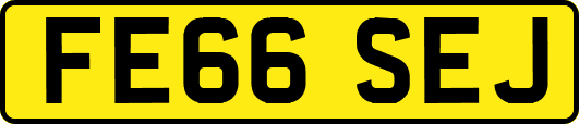 FE66SEJ