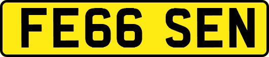 FE66SEN