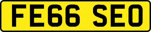 FE66SEO