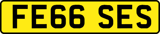 FE66SES