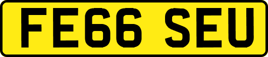 FE66SEU