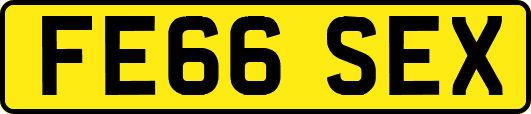 FE66SEX