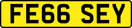FE66SEY