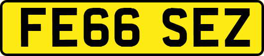 FE66SEZ