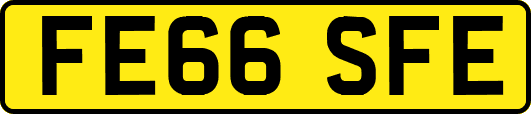 FE66SFE