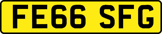 FE66SFG