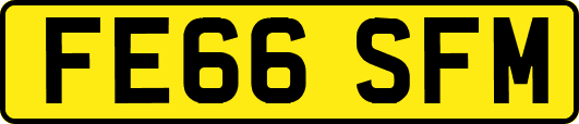 FE66SFM