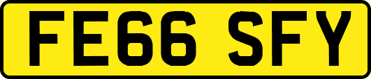 FE66SFY