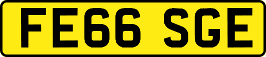 FE66SGE