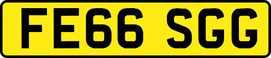 FE66SGG