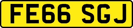 FE66SGJ