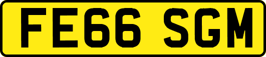 FE66SGM