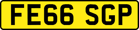 FE66SGP