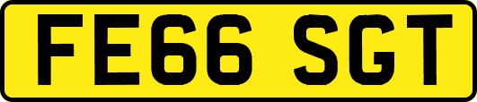 FE66SGT