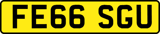 FE66SGU