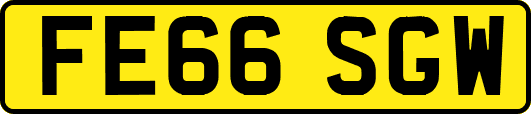 FE66SGW