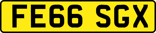 FE66SGX