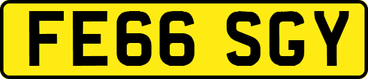 FE66SGY