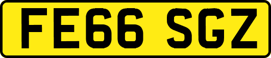 FE66SGZ