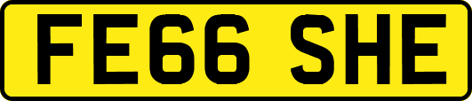 FE66SHE