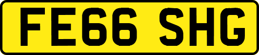 FE66SHG