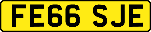 FE66SJE