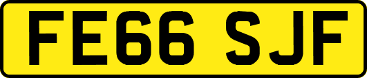 FE66SJF