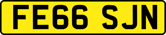 FE66SJN