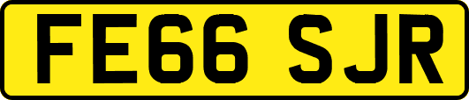 FE66SJR