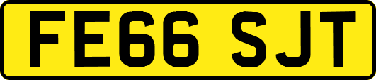 FE66SJT