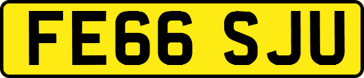 FE66SJU