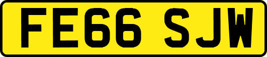FE66SJW