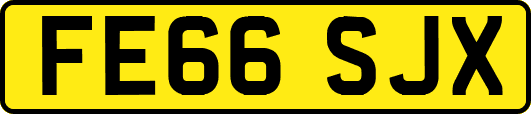 FE66SJX