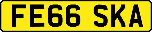 FE66SKA