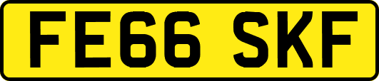 FE66SKF
