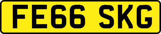 FE66SKG