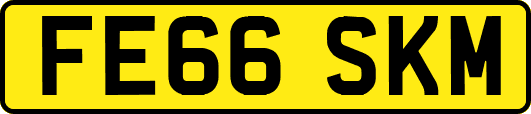 FE66SKM
