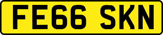 FE66SKN