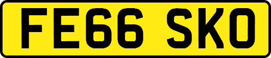 FE66SKO