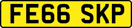 FE66SKP