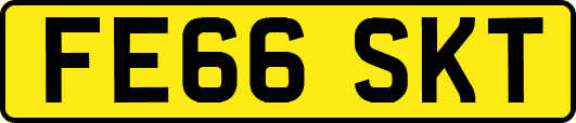 FE66SKT