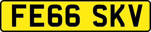 FE66SKV