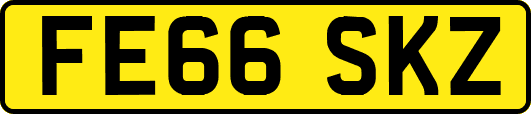 FE66SKZ